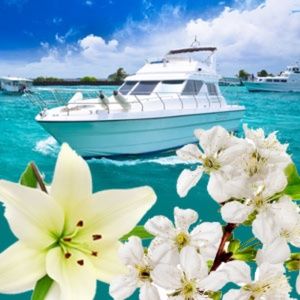 Drifting Away Hand Poured Soy (6.5 oz) Candle